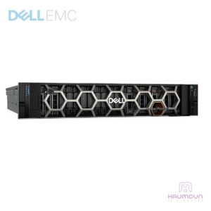 استوریج Dell EMC Data Domain DD9910